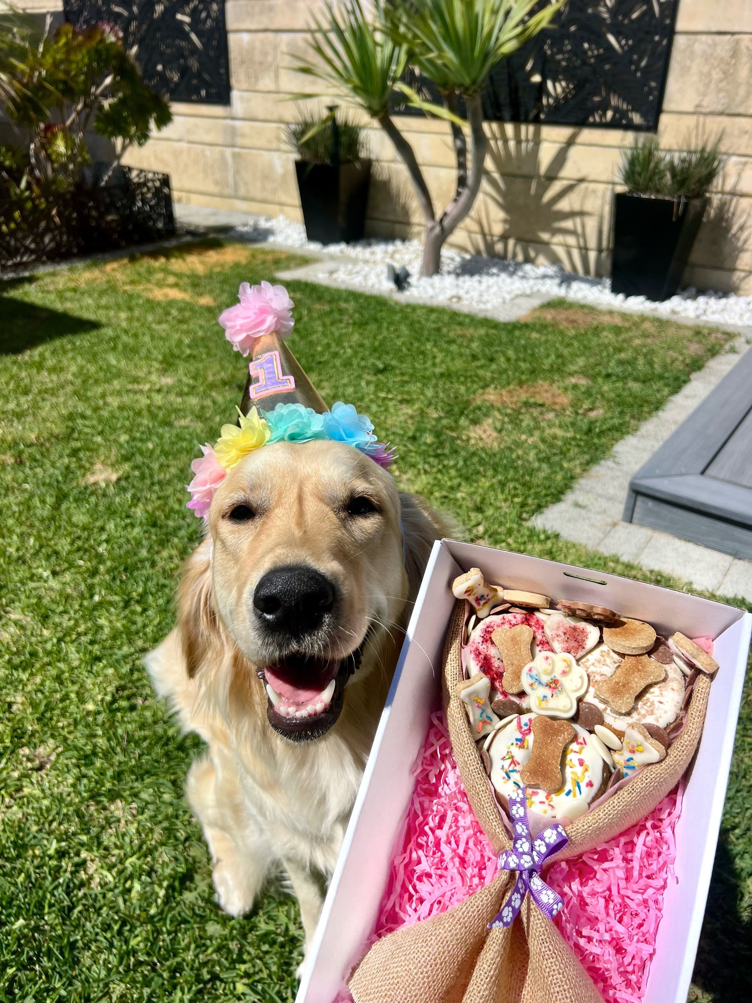 Paw-fect Doggie Donut Bouquet